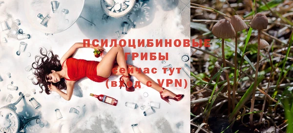 мдма Волоколамск